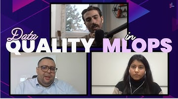 Considerations of Data Quality // Anu Arora and Anass Bensrhir // MLOps podcast #216 clip
