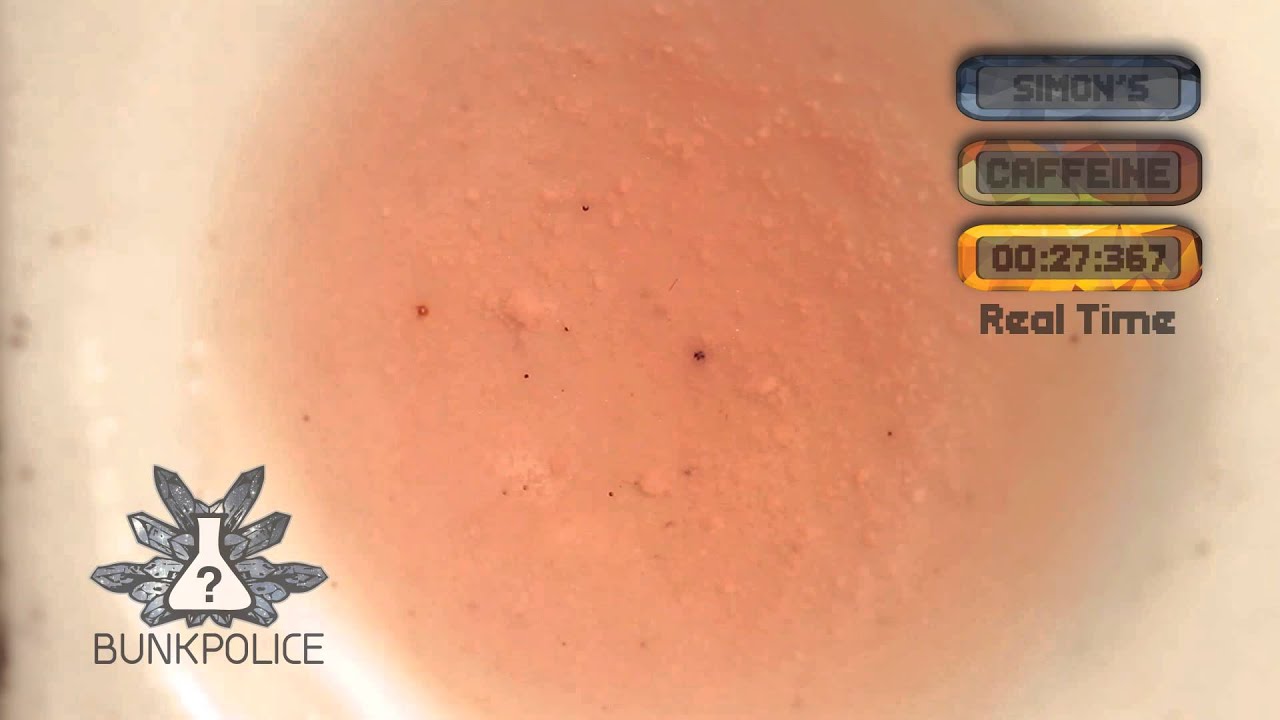 Simons Regeant Caffeine - Simon's Reagent - Normal Test Kit - Bunk Police - YouTube