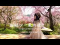 さくら結び～風の便り～Pops ver.(original Song)