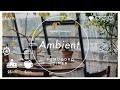 2時間🎧ambient×ポモドーロタイマー|25分集中+5分休憩🌿落ち着きの時間