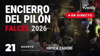 21/08/2026 🔴 EN DIRECTO 🔴 ENCIERRO DEL PILÓN DE FALCES