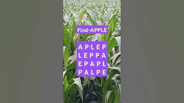 Observation Visual Test: 5 Seconds ForYou To Spot APPLE. Try Your Skills! #search #puzzle #shorts