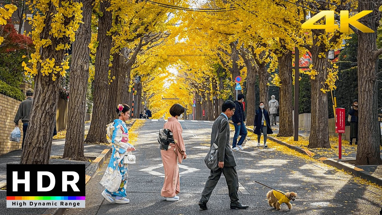【4K HDR】Late Autumn in Tokyo Walk from Den-en-chofu to Musashi-Kosugi