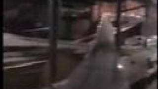 Screamin At The Pretzel