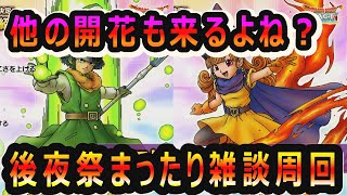 【ドラクエタクト]アリーナ　クリフト開花！！他もくるよね？ね？　後夜祭まったり雑談周回