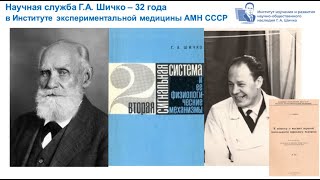 Теория психологического программирования Г.А. Шичко. Видеодоклад А.А. Головина