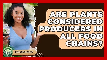 Are Plants Considered Producers In All Food Chains? - Explaining Ecology