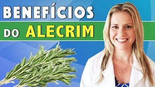 Benefícios do Alecrim - Para Que Serve? Emagrece? Como Usar? [DICAS]