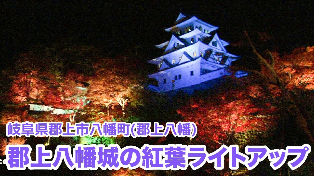 岐阜県郡上市 郡上八幡城の紅葉ライトアップ Gujo Hachiman Youtube