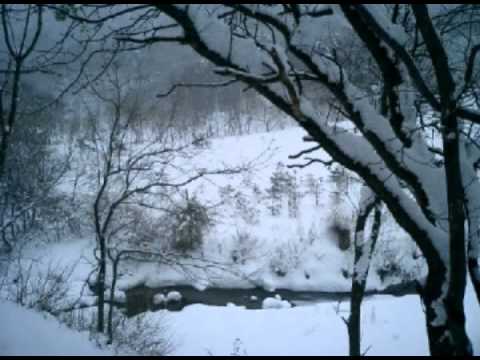 그대 어디쯤 오고 있을까 - 김인혜