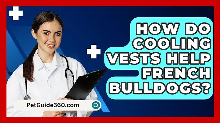 How Do Cooling Vests Help French Bulldogs? - PetGuide360.com
