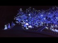 ABC's Winner "The Great Christmas Light Fight" - Blue Blue Christmas - Cedar Hill, TX