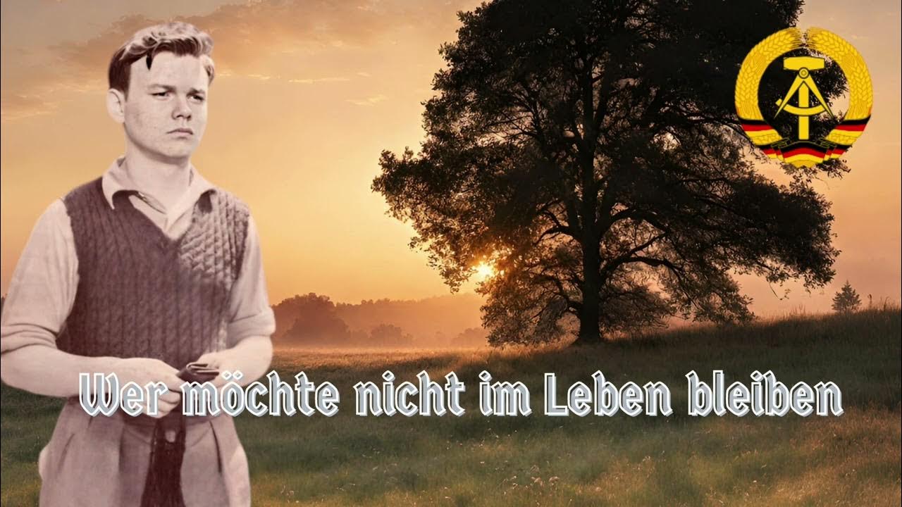 Lied Wer Möchte Nicht Im Leben Bleiben Text www.youtube.com