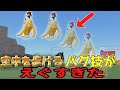 【ゆっくり実況】もの人で空を歩けるバグ技見つけたんだけどｗｗｗｗｗ【Roblox】【物や人を飛ばす】