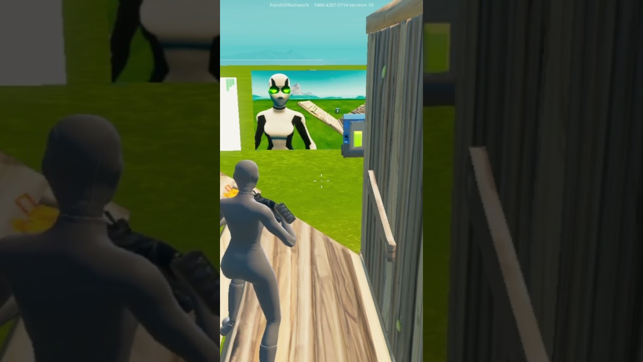 Peterbot Leaks His ExitLag Settings for 0 DELAY…