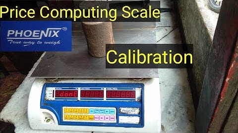 Phoenix Price Computing Scale Calibration