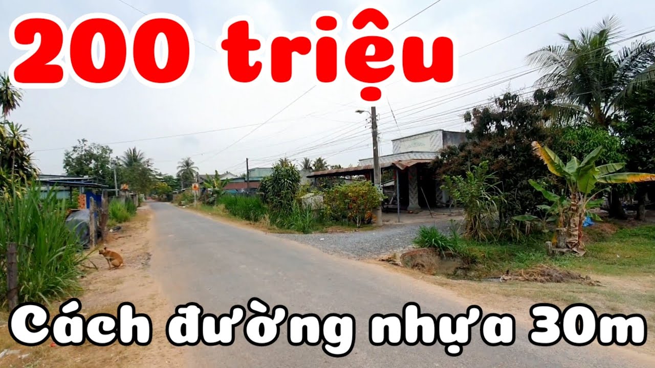 Đất giá rẻ 200 triệu 5x31 cách đường nhựa 30m gần Quốc lộ 22B Chợ Tân Phong xã Thạnh Bình Tây Ninh