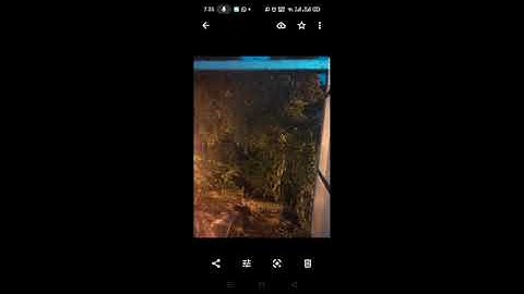 1st video of geotagging