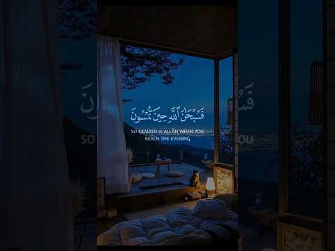 المصحف عبد الباسط عبد الصمد قران كريم