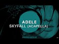 Miniature de la vidéo de la chanson Skyfall (Acapella)