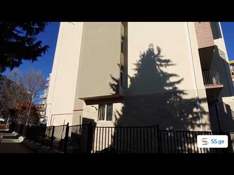 ქონების ტიპი - ბინა