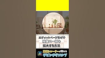 【秘密】エディットページだけで映像の一部を拡大 | 虫眼鏡エフェクト #ダビンチリゾルブ #動画編集 #davinciresolve
