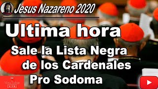 ESTO SE SALE DE CONTROL SALE LA LISTA DE TRAIDORES QUE VAN A ELEGIR AL SIGIENTE PAPA ¿PRO SODOMA ?