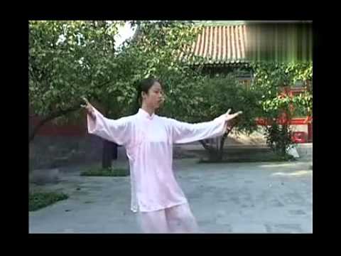 Tai chi 24 form tutorial