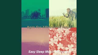 Sunny Backdrops for Recharging Sleep