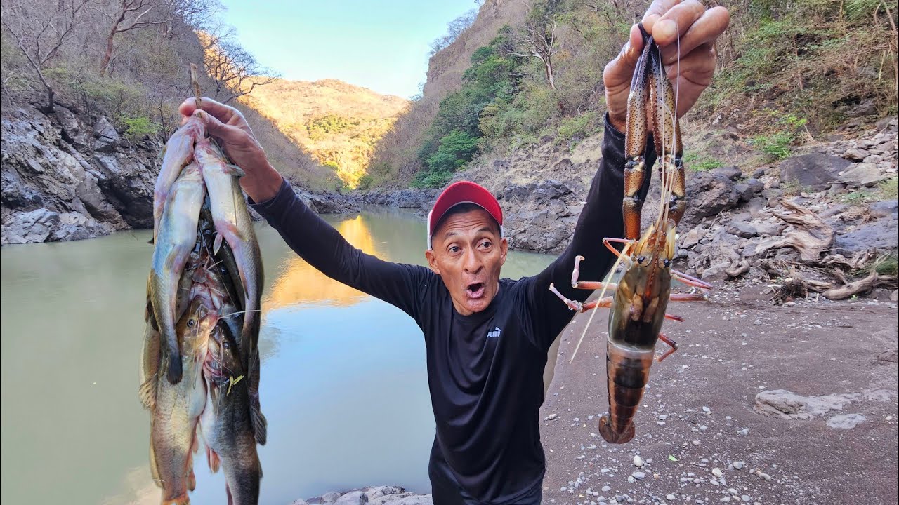 Don jose pesco camaron Gigante y juilines 