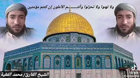 تلاوة عطرة لآيات مباركة من سورة آل عمران💠#انشرو_القران #اكتب_شي_توجر_عليه #الحمدلله_دائماً_وابداً