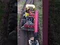Mastering Forest Operations: Our Expert Chainsaw Skills 🌲
