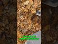 #goldrush 2025! from shale rock the right way to find gold in shale! #goldmining #goldpanning