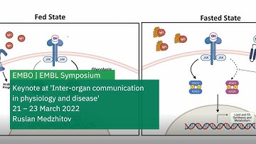 An evolutionary perspective on physiological control