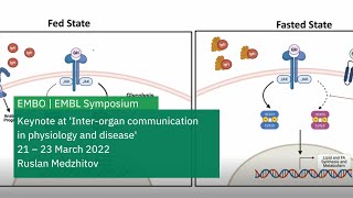 An evolutionary perspective on physiological control