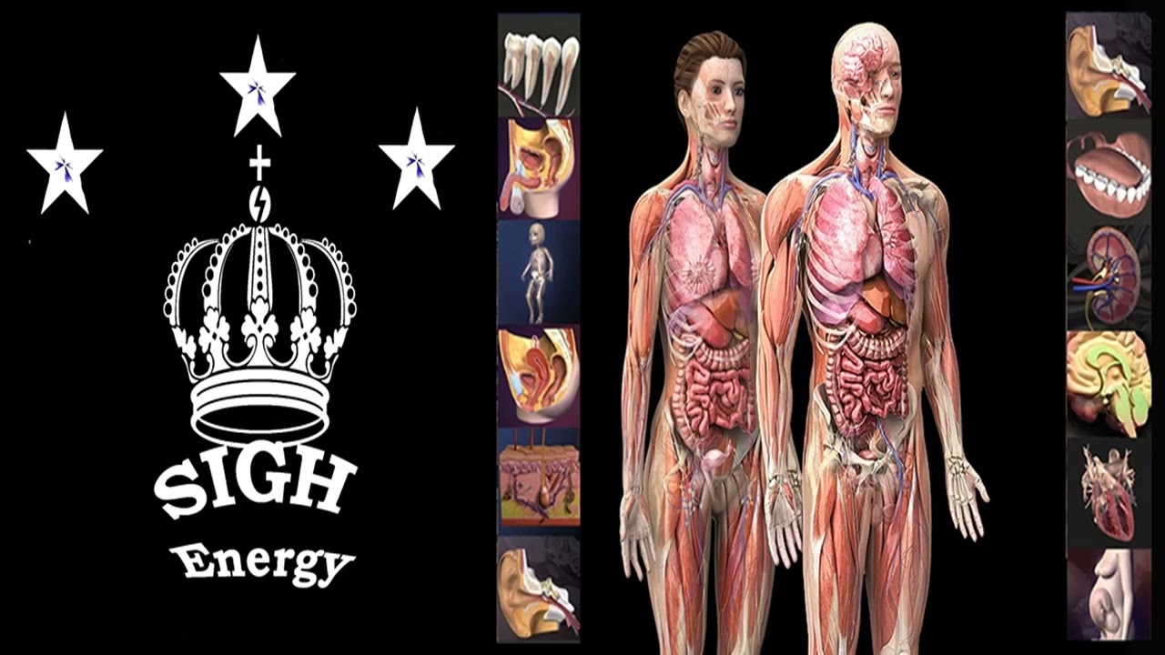 Body restoration process EXTREMELY POWERFUL!!! (Energetically