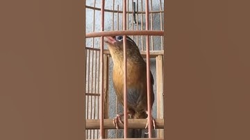 Chúc cả nhà ngày mới với nhiều niềm vui và hạnh phúc chúc gia đình luôn sức khoẻ và bình An Phú quý