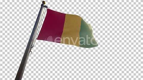 Guinea Flag on a Flagpole with Alpha-Channel | Motion Graphics - Envato elements