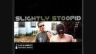 Video thumbnail of "Slightly Stoopid - Collie Man"
