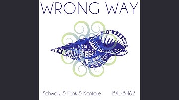 Wrong Way