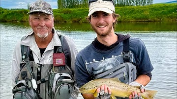 New Zealand trout fishing trip with Gavin Hurley - Day 2.1 - Champagne fishing for father & son 