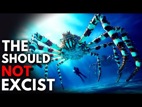 Why Deep Sea Creatures Become CREEPY Giants the Deeper You Go