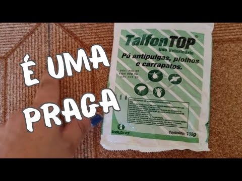 Vídeo: Modelos De Camundongos Da Pré-mutação X Frágil E Síndrome Do Tremor / Ataxia Frágil Associada Ao X