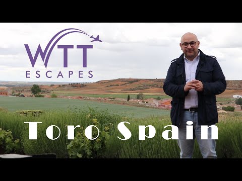 Fun Things to Do in Toro | Travel Guide (2024) | Best Places to Visit