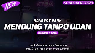 DJ Mendung Tanpo Udan - Ndarboy Genk ( Slowed \u0026 Reverb )