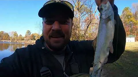 Trout Fishing at Waverly Park Lake, Louisville, KY