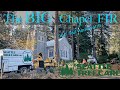 PART 2!!! Brushing out the BIG Chapel Fir! 160ft Tall Tree Removal with Seattle Tree Care!