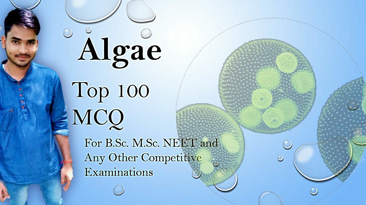 MSc Botany Entrance & Assistance Professor 2025  | Top 100 MCQ of Algae | Phycology Top MCQ
