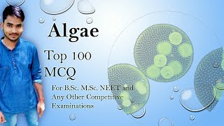 B.Sc./ M.Sc. entrance | Top 100 MCQ of Algae | Phycology Top MCQ