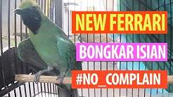 SUARA BURUNG : Cucak Ijo NEW FERRARI Rudy NRS Gacor Bongkar Isian Bikin Juri Grogi  - Durasi: 12:33. 